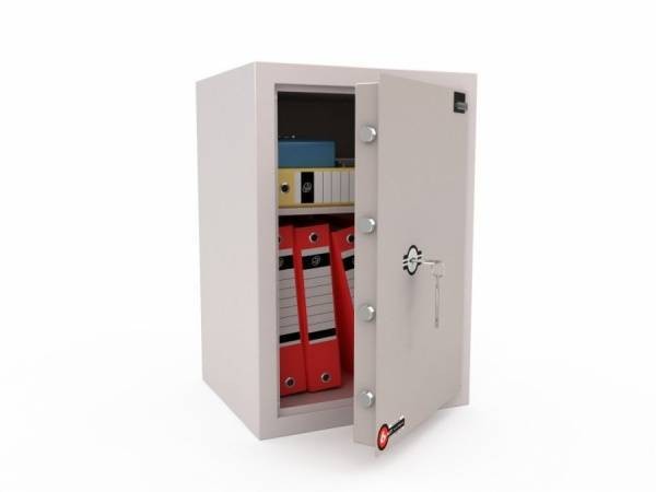 Лёгкий сейф  LS-010 R купить в Воронеже